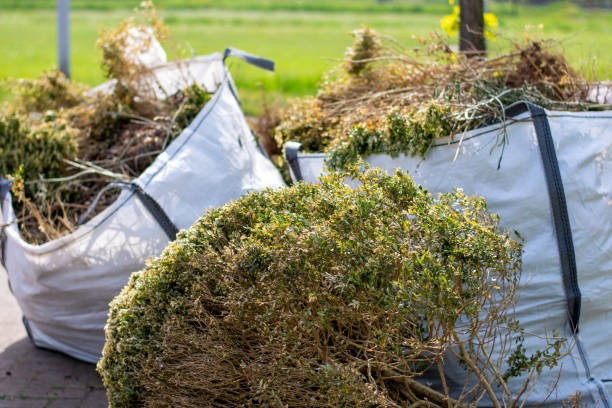 Best Junk Hauling Services  in Perkins, OK